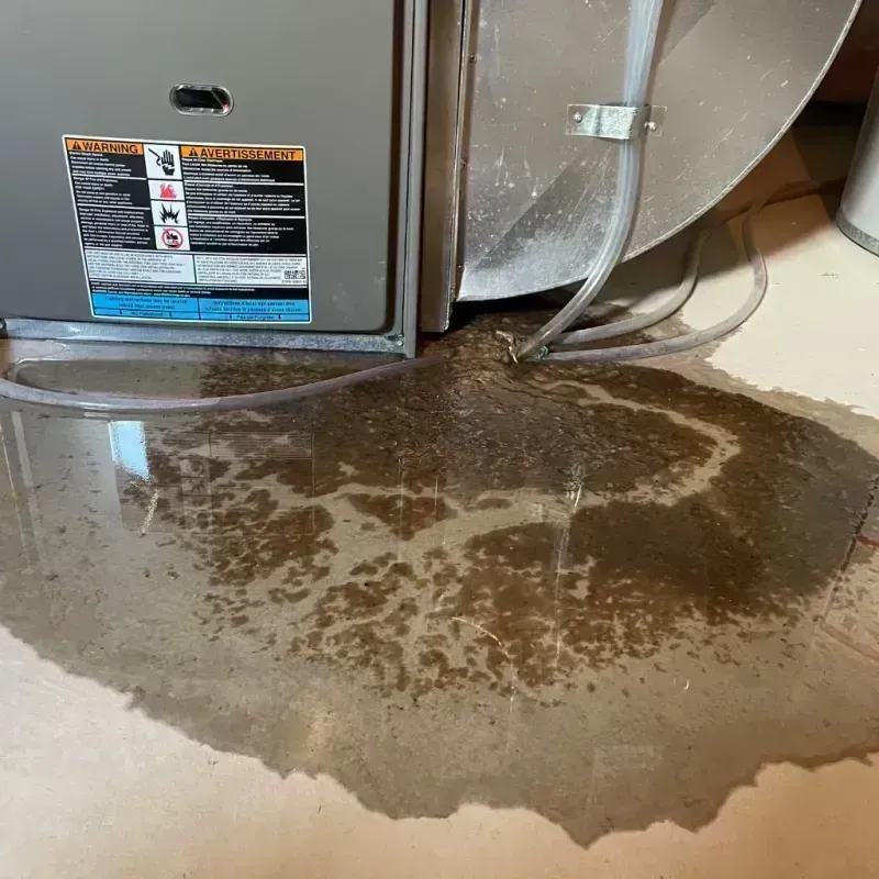 Appliance Leak Cleanup in Metropolis, IL